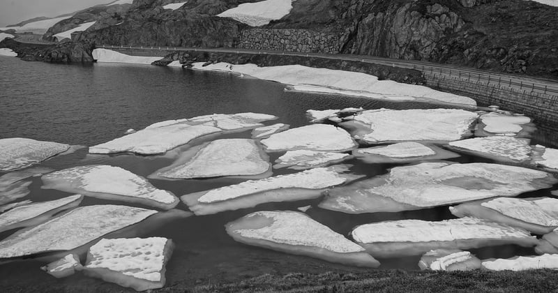 Trail en montagne : adoptez la charte environnementale pour des courses responsables