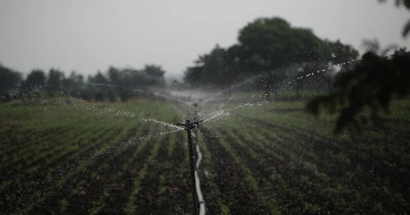 La gestion de l'eau et des espaces extérieurs