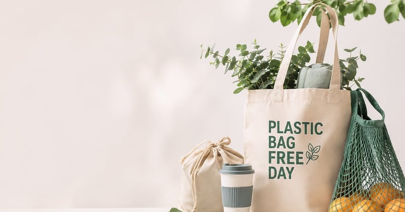 L’hydratation durable et réutilisable pour sportifs écoconscients